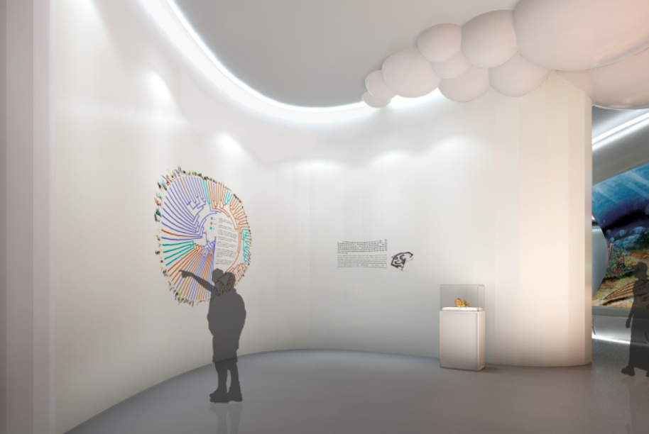 自然博物館生命進化展廳設(shè)計